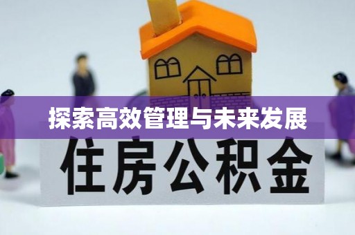 荔城探索高效管理与未来发展