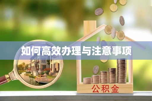 荔城如何高效办理与注意事项