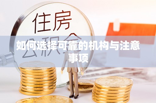 荔城如何选择可靠的机构与注意事项