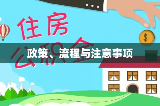荔城政策、流程与注意事项