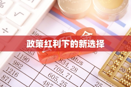 荔城政策红利下的新选择