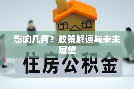 荔城影响几何？政策解读与未来展望