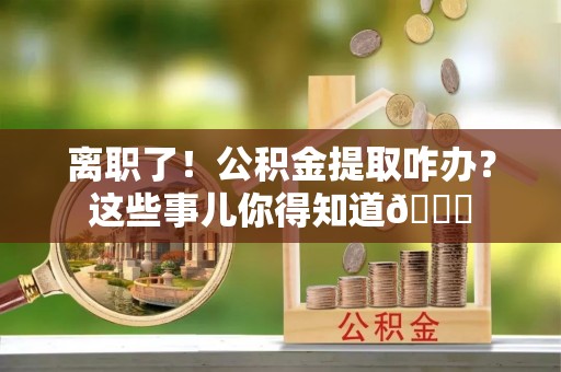 荔城离职了！公积金提取咋办？这些事儿你得知道😎