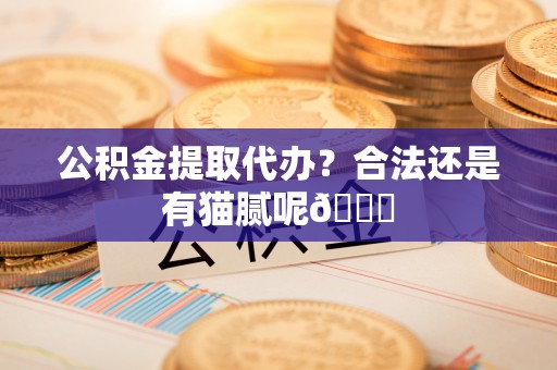 荔城公积金提取代办？合法还是有猫腻呢😏