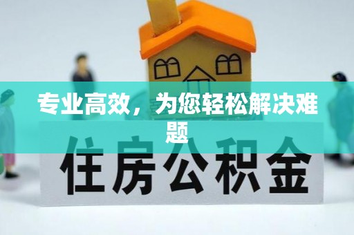 荔城专业高效，为您轻松解决难题