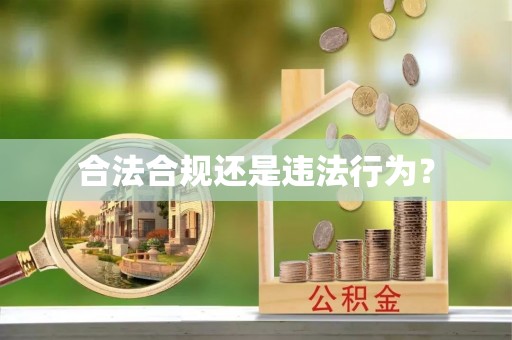 荔城合法合规还是违法行为？