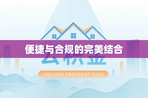 荔城便捷与合规的完美结合