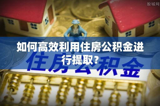 荔城如何高效利用住房公积金进行提取？