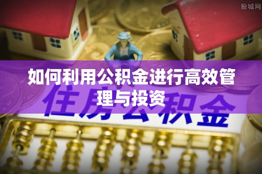 荔城如何利用公积金进行高效管理与投资