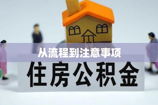 荔城从流程到注意事项