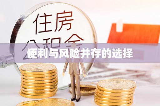 荔城便利与风险并存的选择